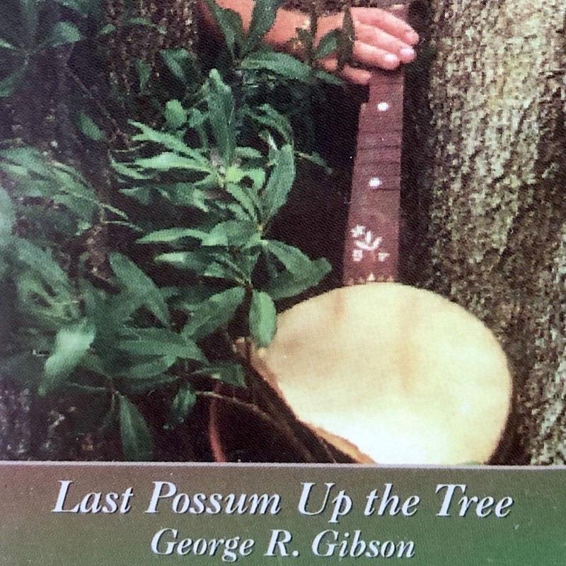 Last Possum Up the Tree